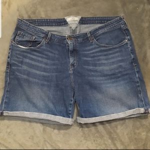 LEVI'S DISTRESSED JEAN STRETCH SHORTS ~ FESTIVAL